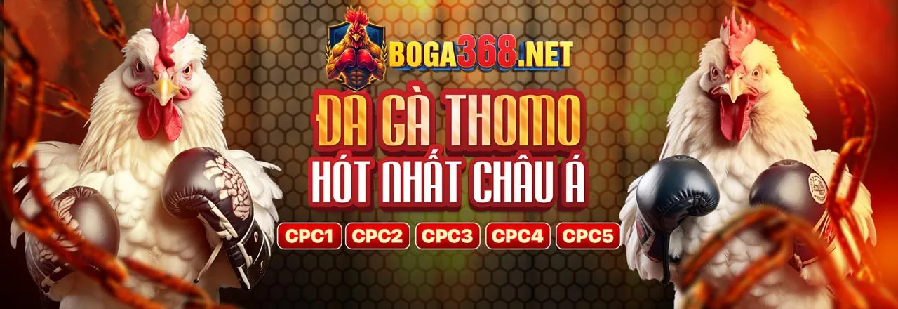 Hình ảnh đá gà trực tuyến trên ứng dụng Hit Club cho iPhone